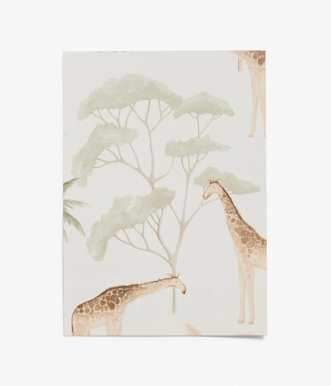 Savannah white safari wallpaper sample