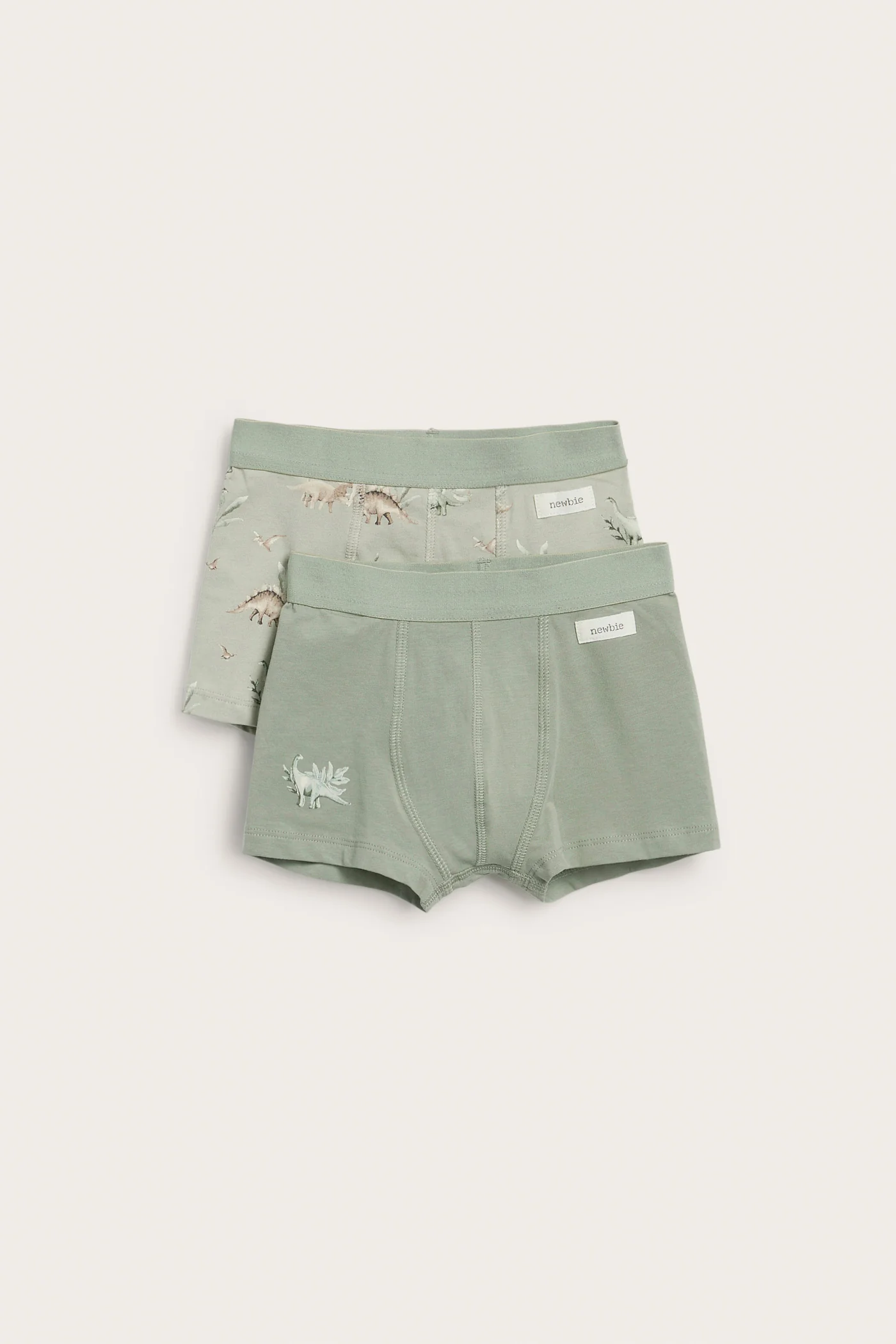 Baby & Kids dinosaur underwear (2-pack)