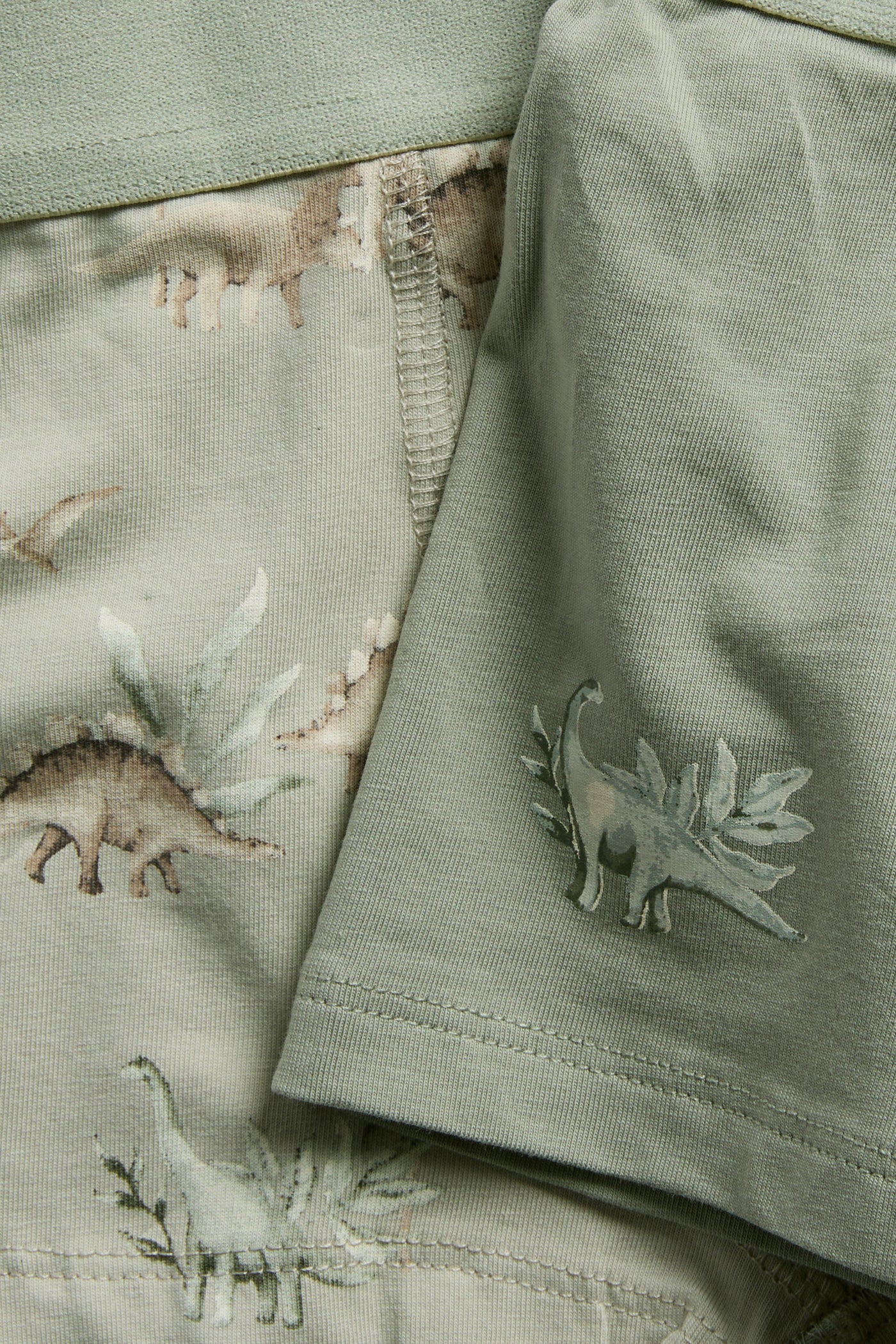 Baby & Kids dinosaur underwear (2-pack) - Image 2